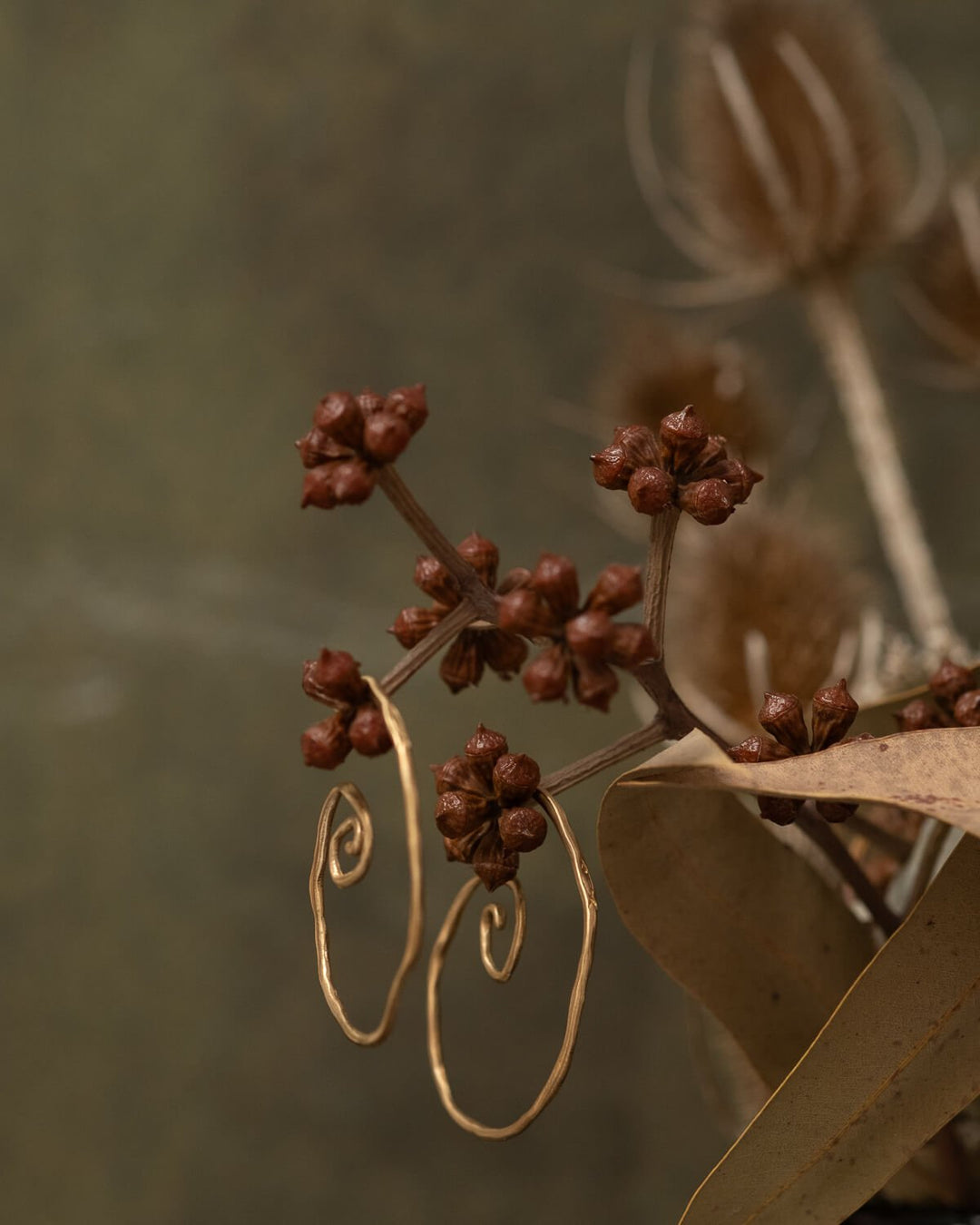 Lumaca Bronze Earrings - Large - La Casa by Importante