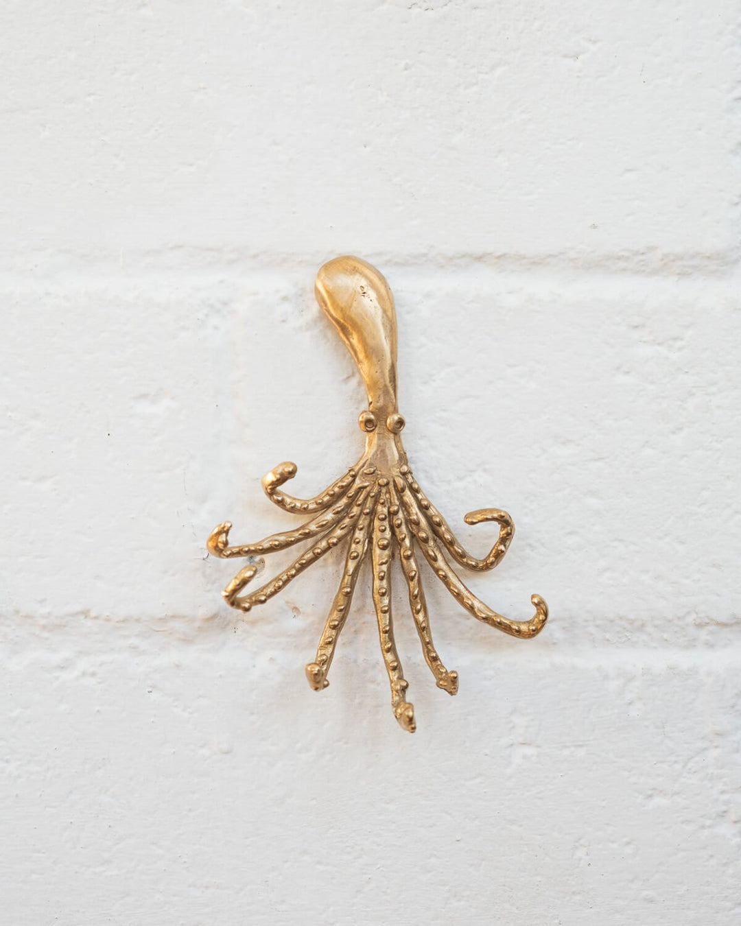 Polipo Hook - La Casa by Importante