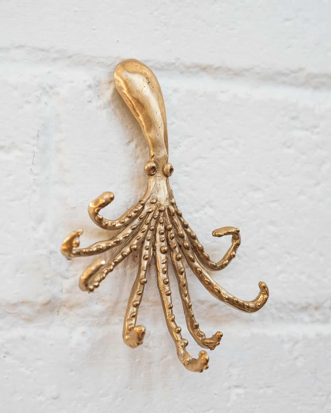 Polipo Hook - La Casa by Importante