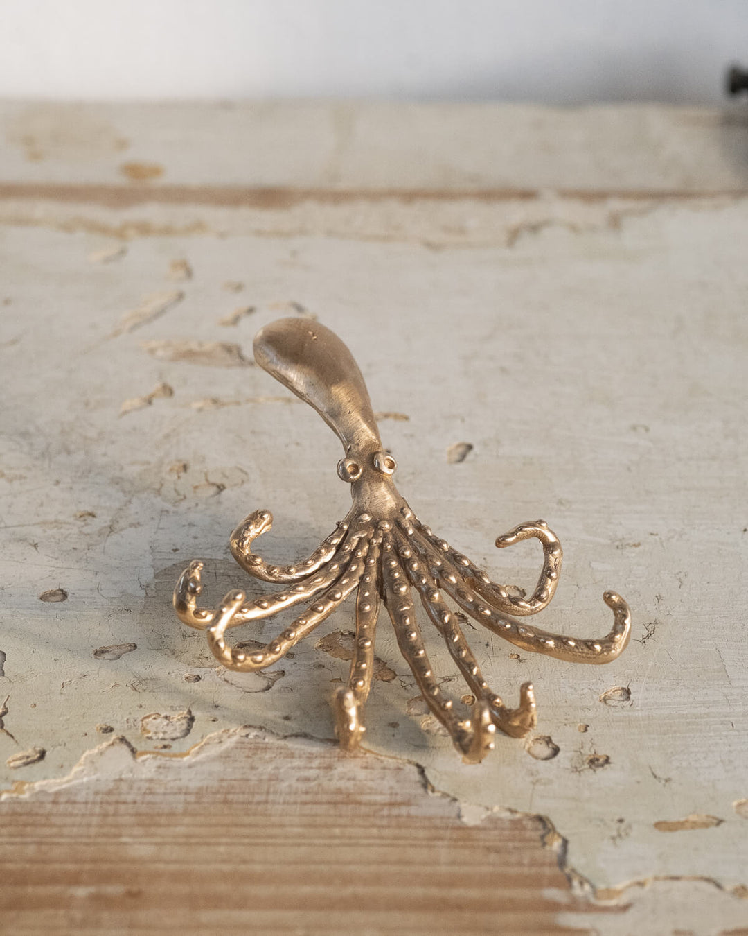 Polipo Hook - La Casa by Importante