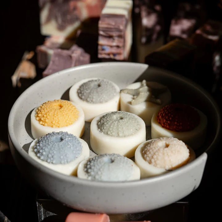 Shell Soap (Assorted) - La Casa by Importante