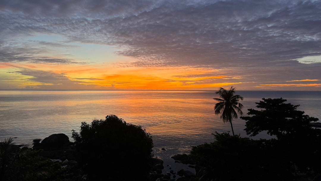 Saltwater and Soul Work in Koh Samui