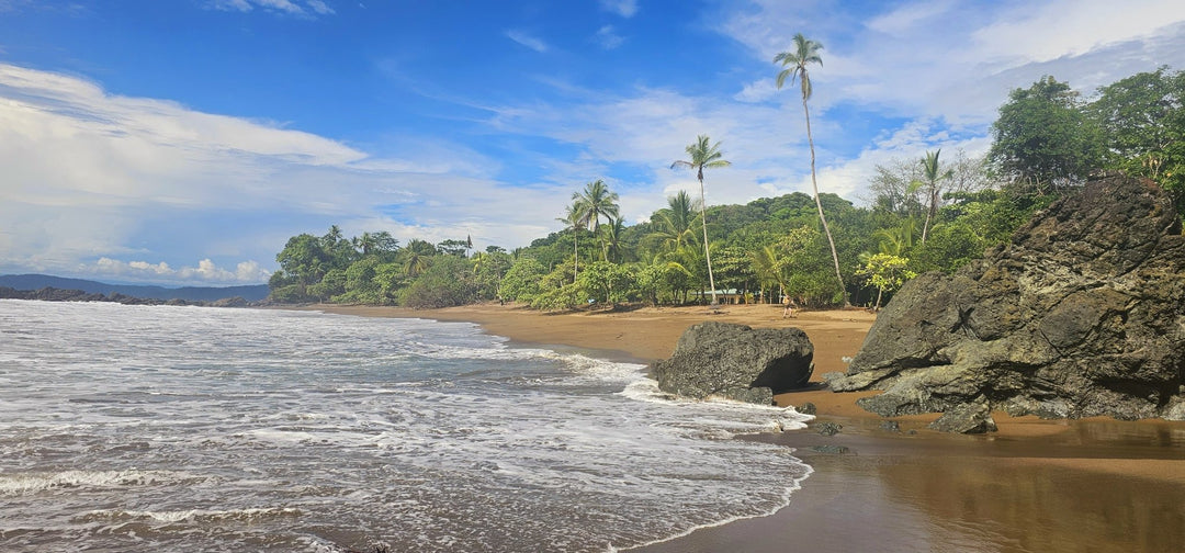 Pura Vida: Waves, Wildlife & Wellness - La Casa by Importante
