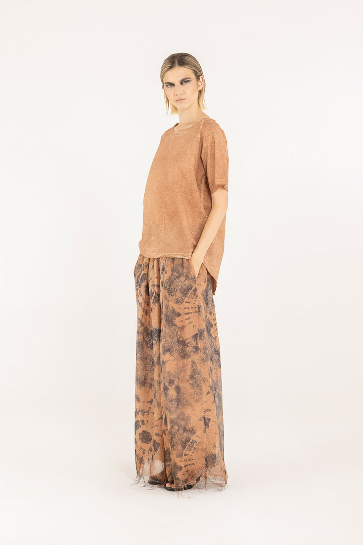 S253 - Top