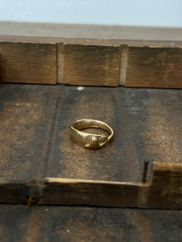 IMBARAZZATO RING L