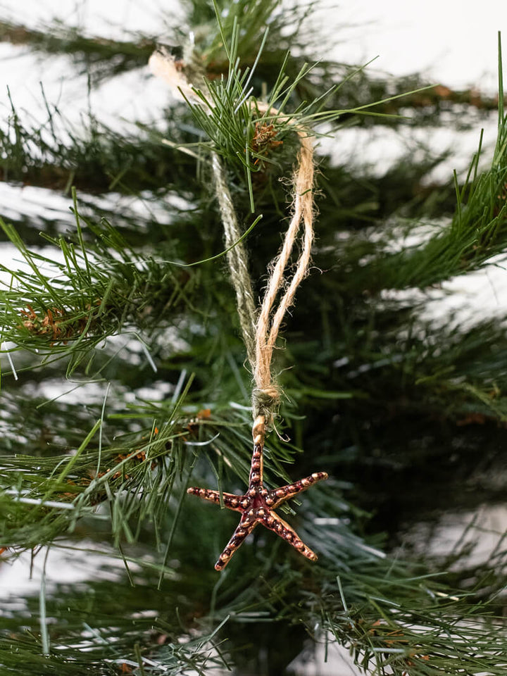 Xmas Ornament | Enameled Stella Di Mare Bronze Pendant