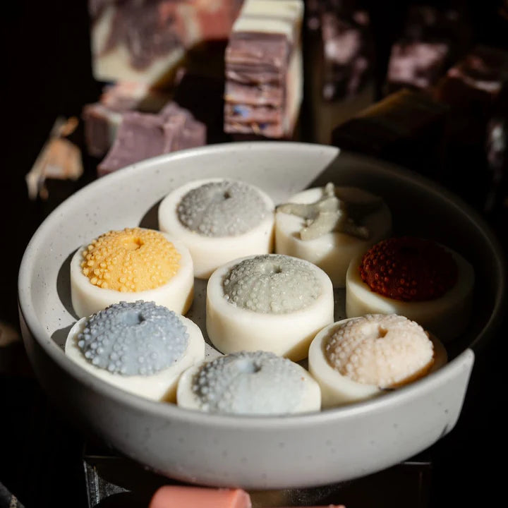 Shell Soap (Assorted)
