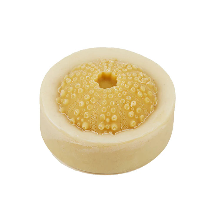Shell Soap (Assorted)