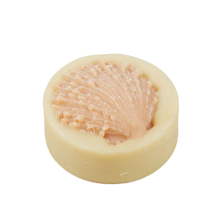 Shell Soap (Assorted)